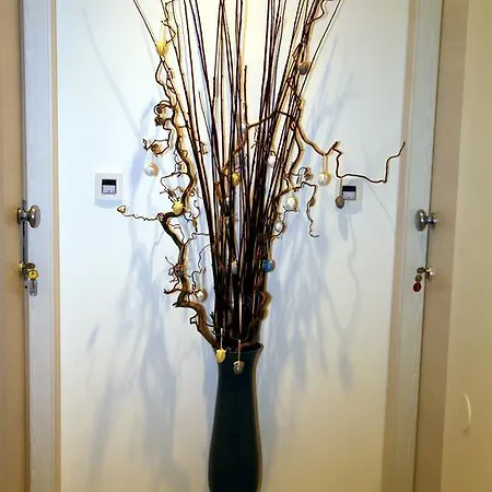 Casa de hóspedes My